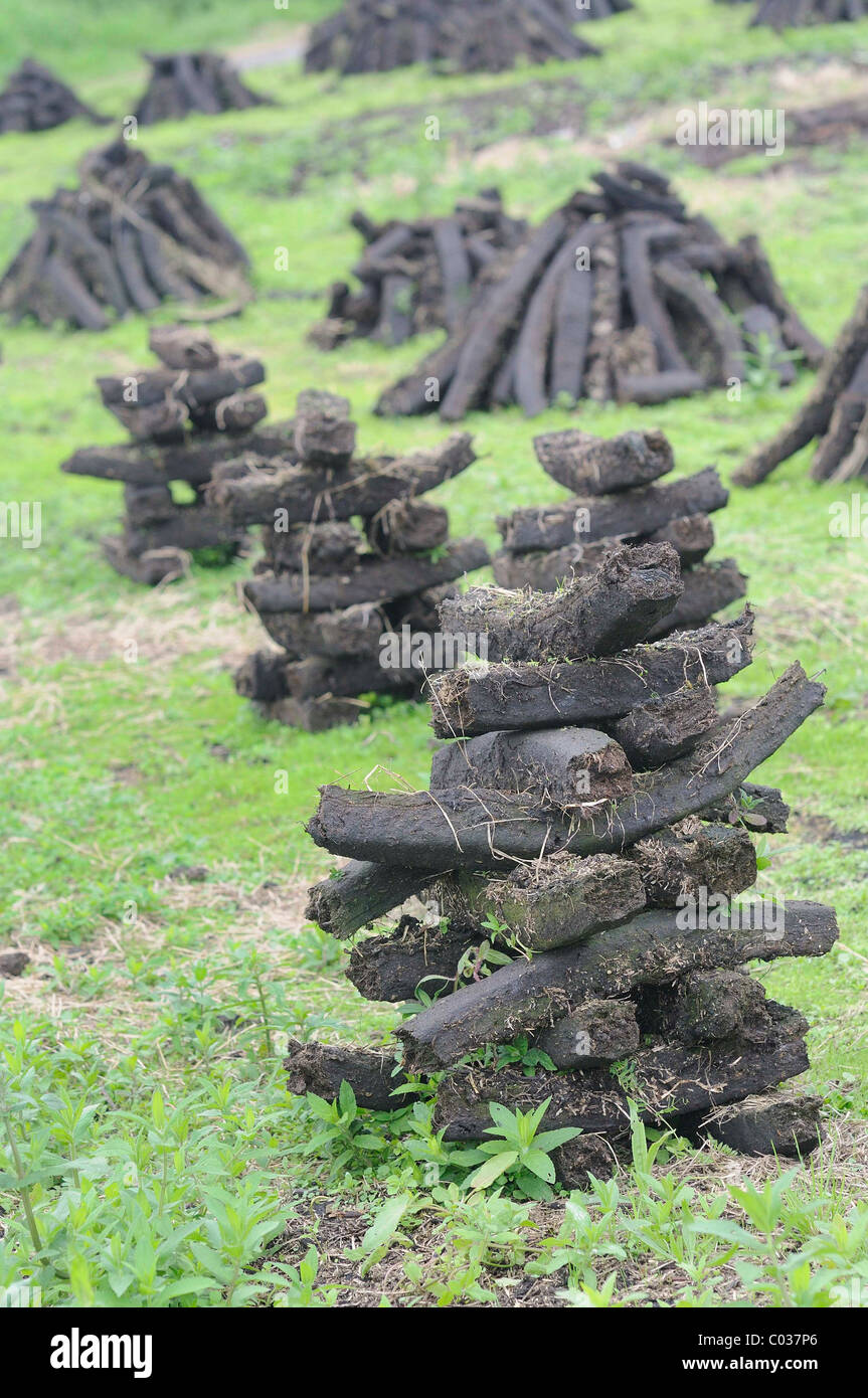 Stacks of peat briquettes used for fuel in private homes are dried by