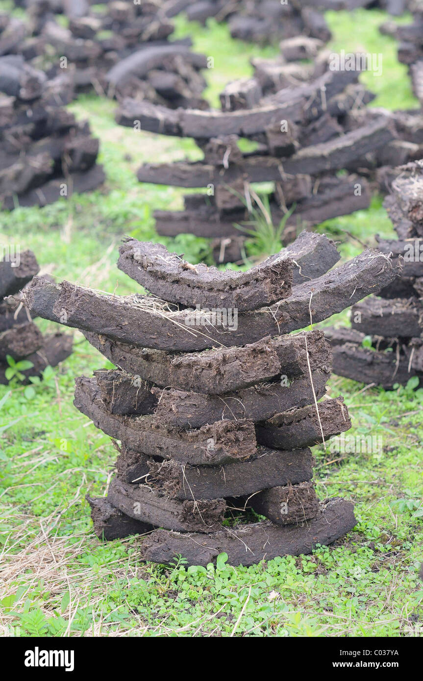 Stacks of peat briquettes used for fuel in private homes are dried by the citizens themselves, Birr, Leinster Stock Photo