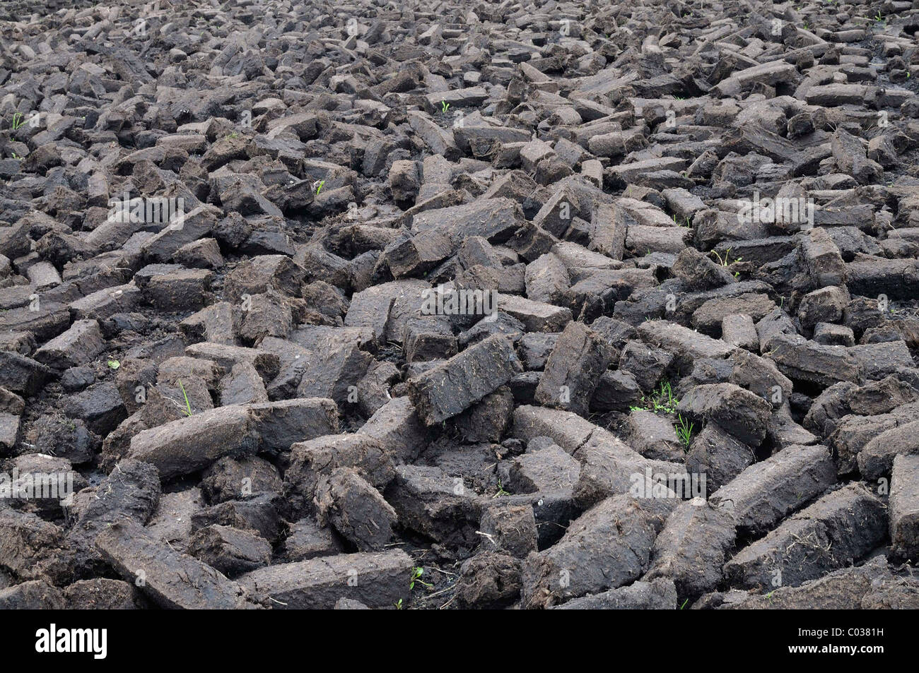 Peat briquettes used for fuel in private homes are dried by the citizens themselves, Birr, Leinster, Republic of Ireland, Europe Stock Photo