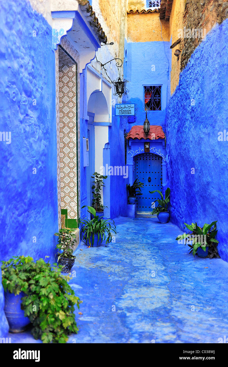 Narrow alley painted blue with the medina of Chefchaouen, Riff Mountains, Morocco, Africa Stock Photo