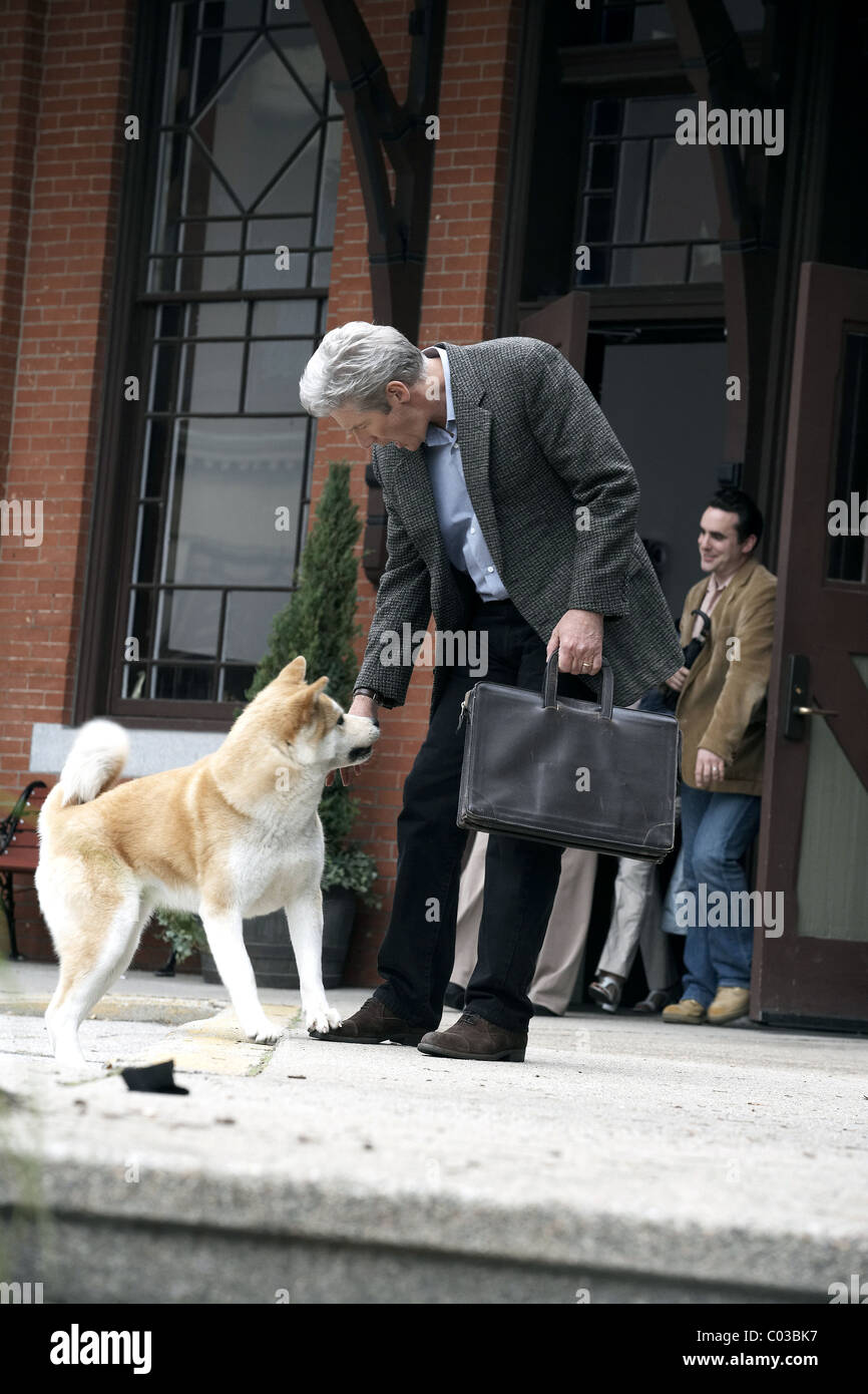 what breed of dog was the star of the movie hachi a dogs tale