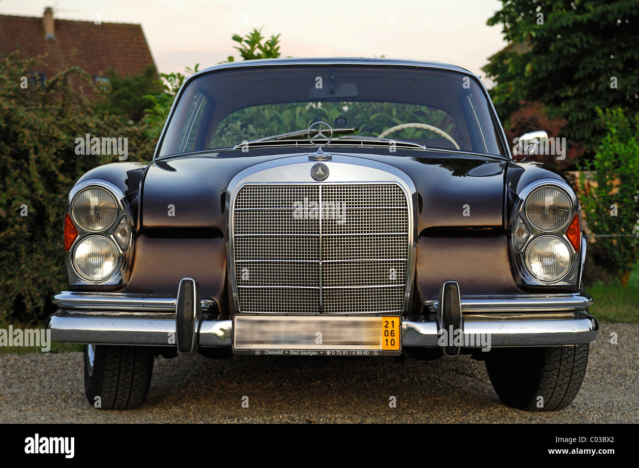 Classic car, front view of a Mercedes 250 SE, built 1962-65, 110 kW, 150 hp Stock Photo