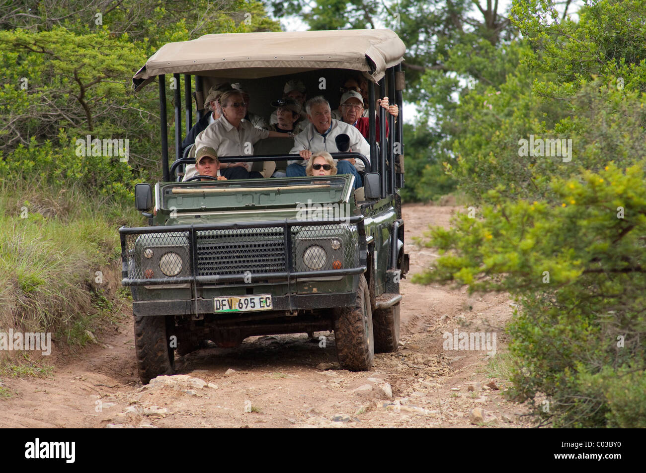 South Africa, Eastern Cape, East London, Inkwenkwezi Private Game Reserve. Stock Photo