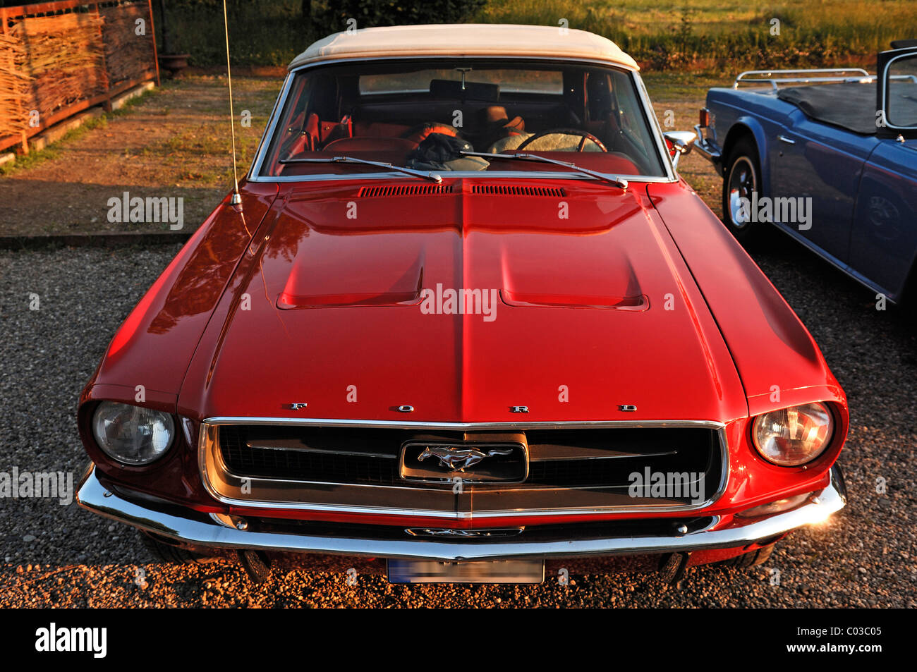 Classic car, front view of a Ford Mustang Convertible, built in 1967, 147 kW, 200 hp Stock Photo