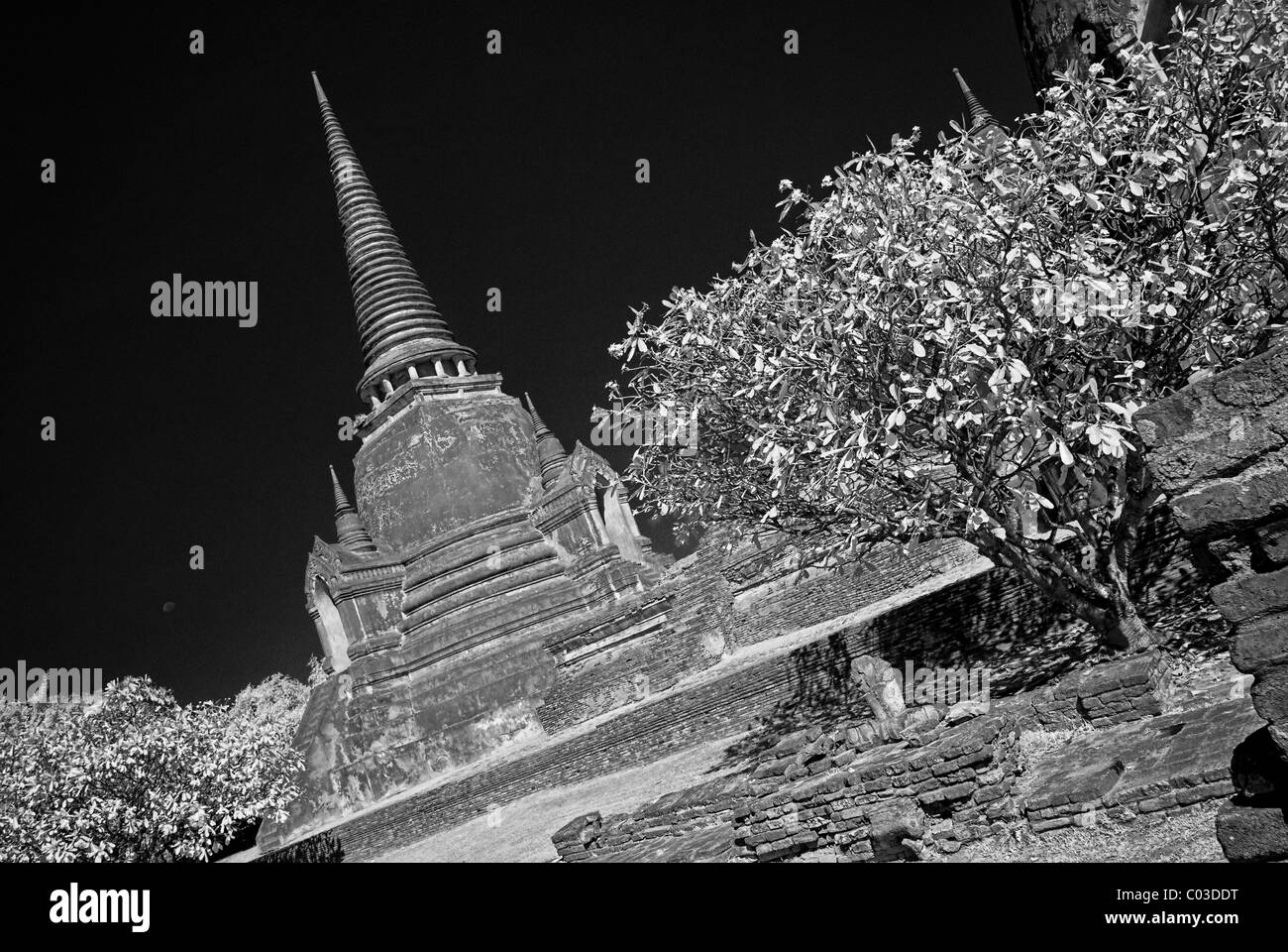 Wat Phra Sri Sanphet - Ayutthaya Stock Photo