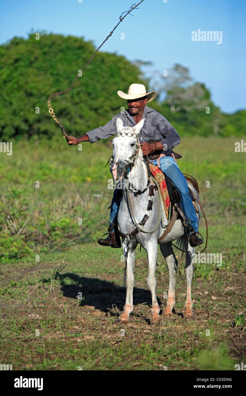 Peões pantaneiros tocando boiada com chicote de metal no Pantanal, Pantanal cowboys escorting the cattle with metal whip in Pantanal