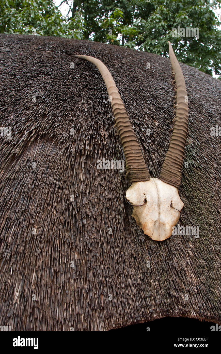 South Africa, Durban, Valley of the Thousand Hills, Phezulu Park. Traditional Zulu village, typical thatched Zulu hut. Stock Photo