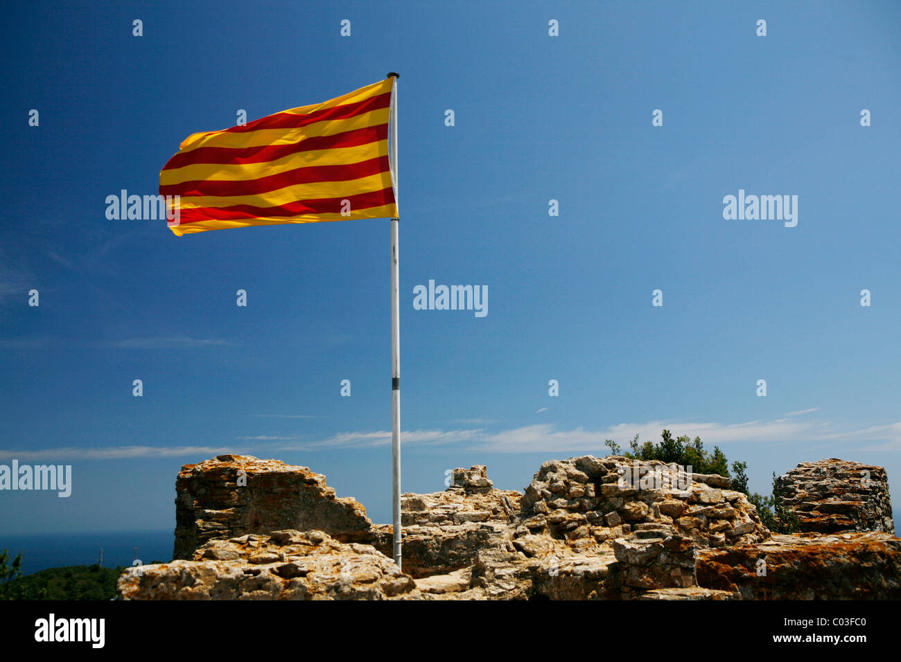 Bandiere catalano, dimostrazione Promozione della lingua catalana nelle  Isole Baleari, Palma di Maiorca, SPAGNA Foto stock - Alamy