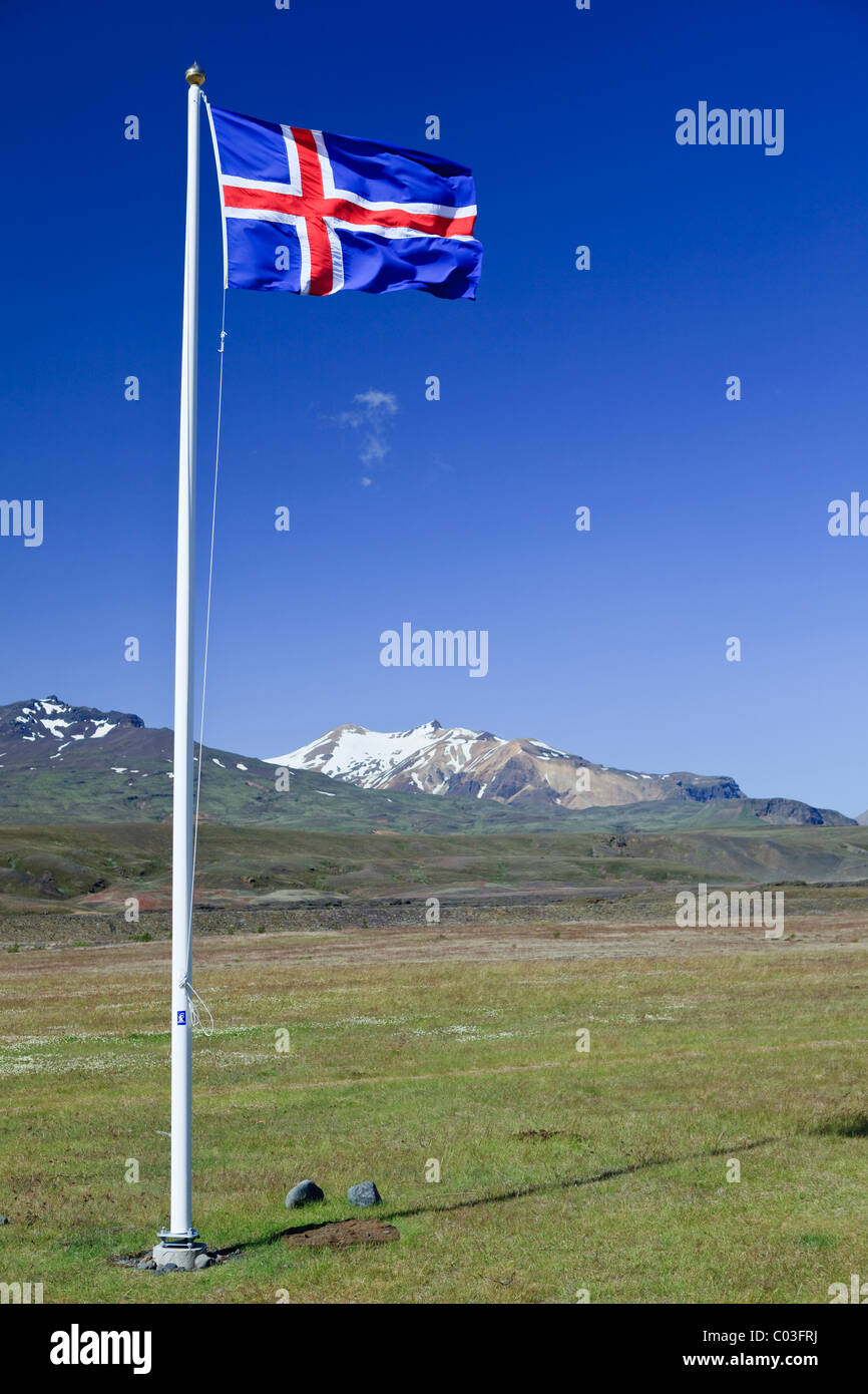 Icelandic national flag blowing in the wind on a meadow, Borsmoerk, Iceland, Europe Stock Photo