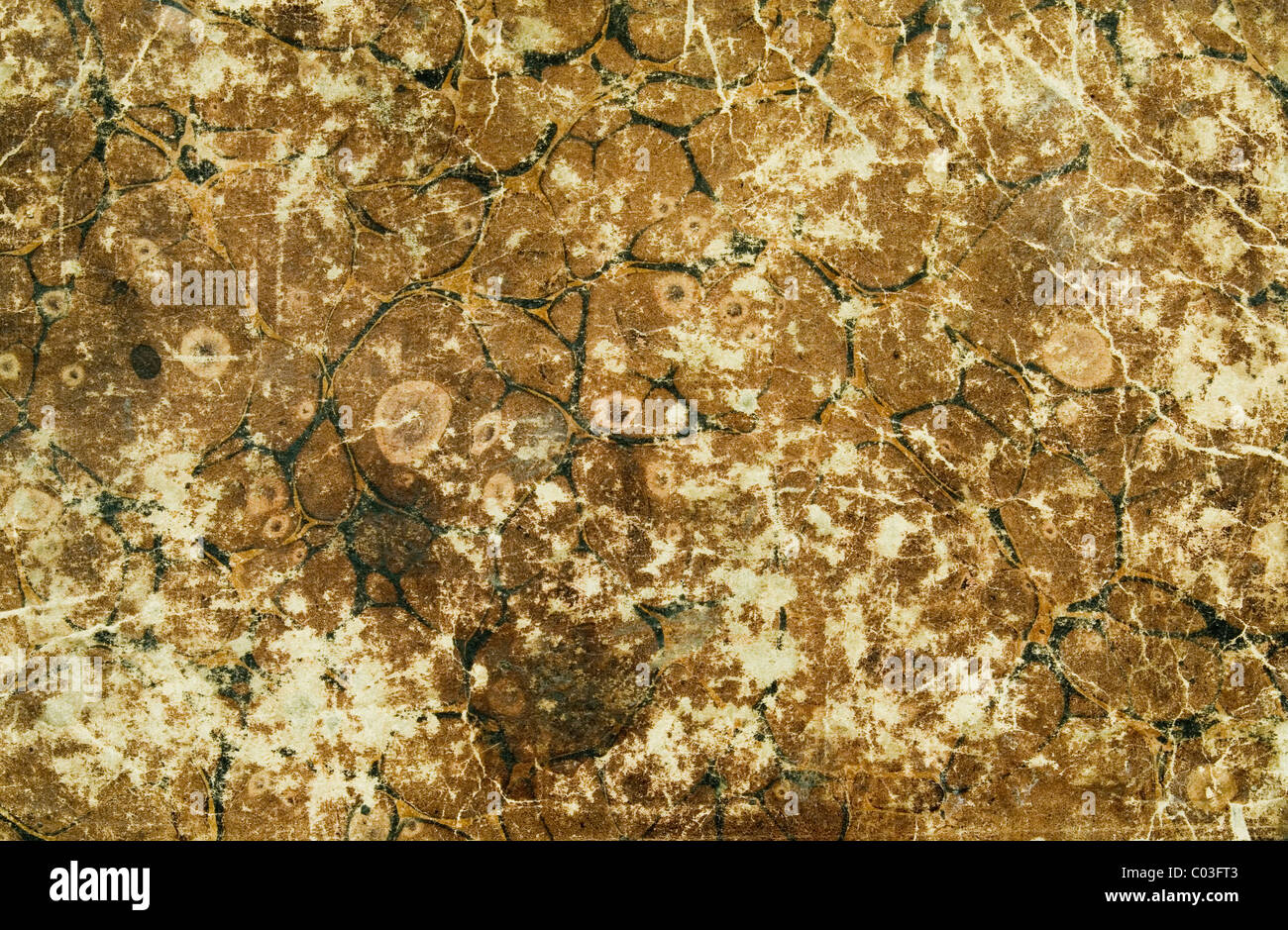 structure made from a grunge brown paper Stock Photo