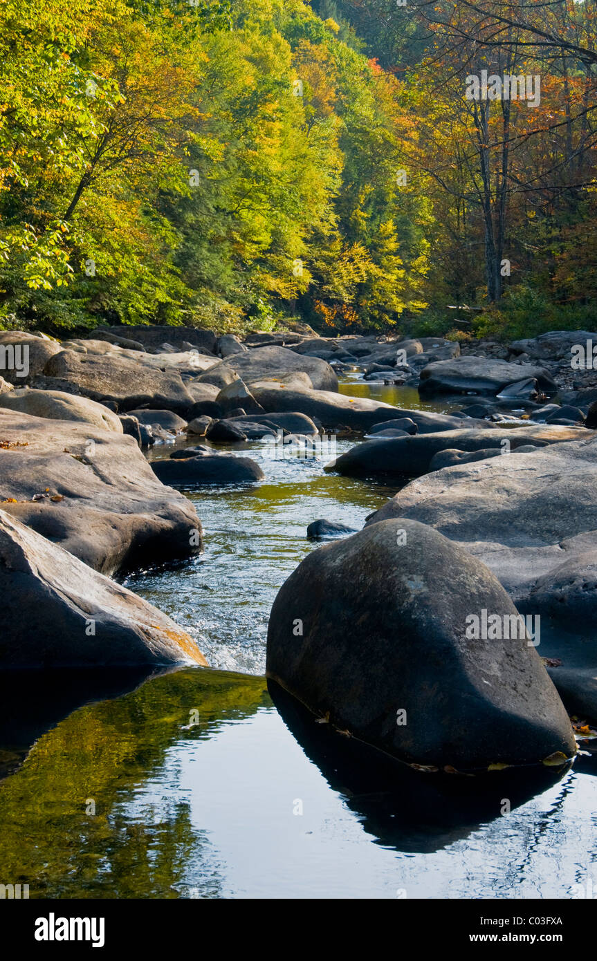 Fall colors along the Cranberry River located in the Cranberry River