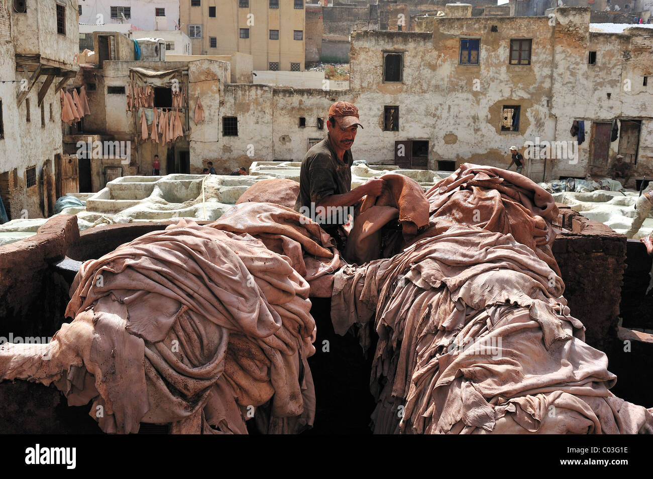 Animal hides hi-res stock photography and images - Alamy Animal hides hi-res stock photography and images - Alamy