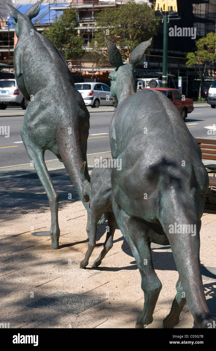 Kangaroos in the City sculptures, Perth, Western Australia Stock Photo Alamy
