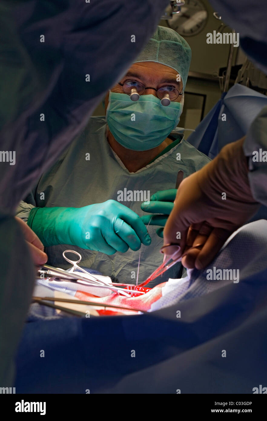 Prof. Dr. med Thomas Hupp sewing the wound after carotid artery surgery at the Klinikum Stuttgart hospital, Stock Photo