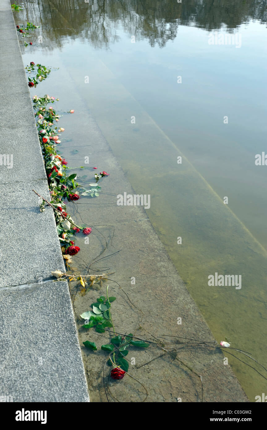 Roses in memory in the lake, Memorial at Schwedt Lake, Ravensbrueck concentration camp, Fuerstenberg, Brandenburg Stock Photo