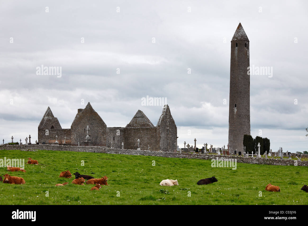 Ruins of Kilmacduagh Monastery, County Galway, Ireland, Europe Stock Photo