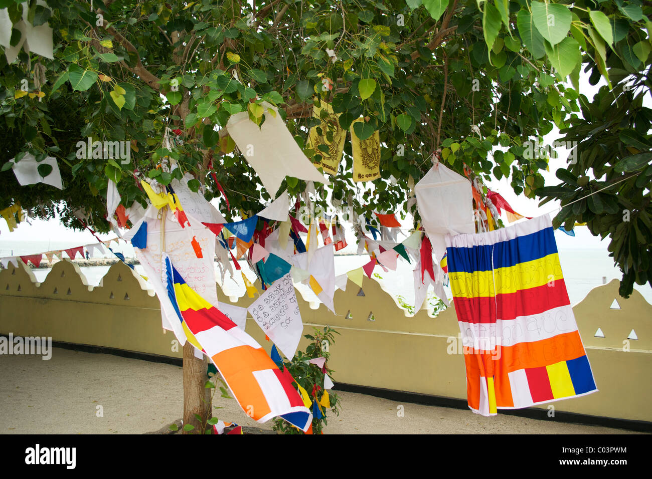 Buddhist flags hanging on a sacret Bo tree at Nagadeepa temple