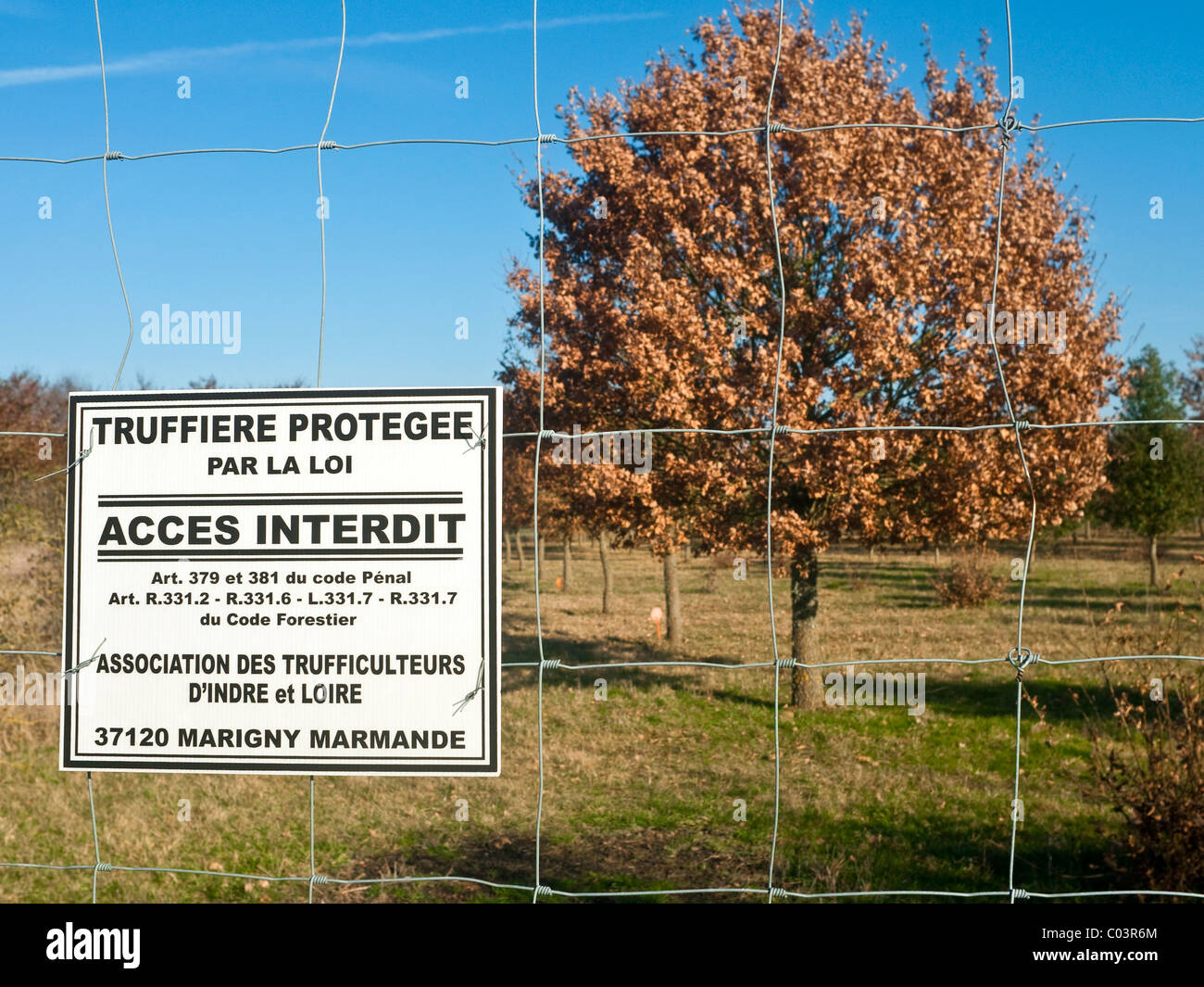 Access warning notice outside Truffle wood - France. Stock Photo