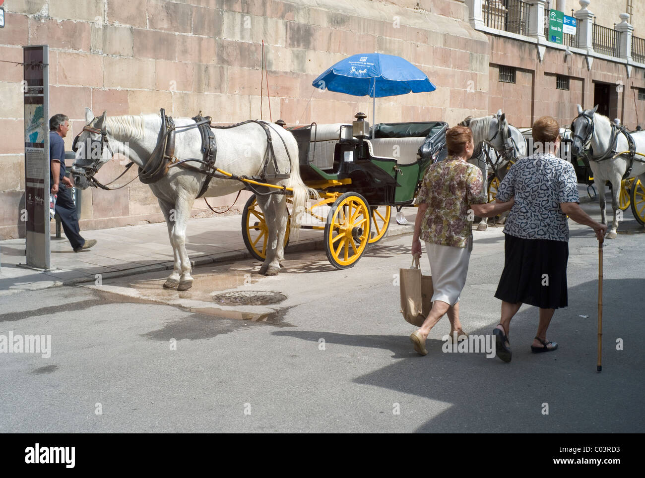 Horse drawn carts in Malaga, Spain Stock Photo
