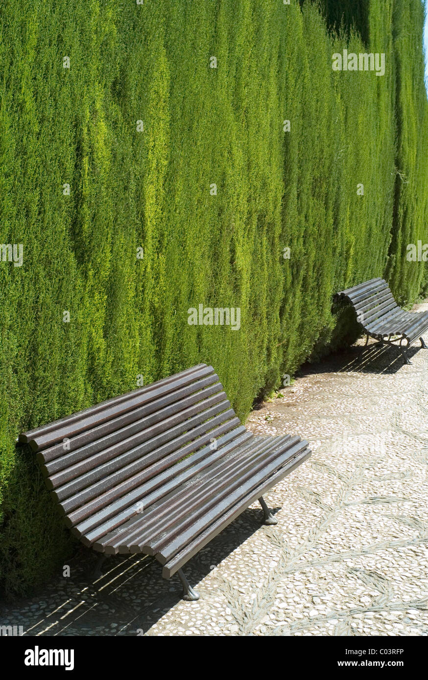 Benches and trimmed conifer trees in the garden of Alhambra Palace, Granada Stock Photo
