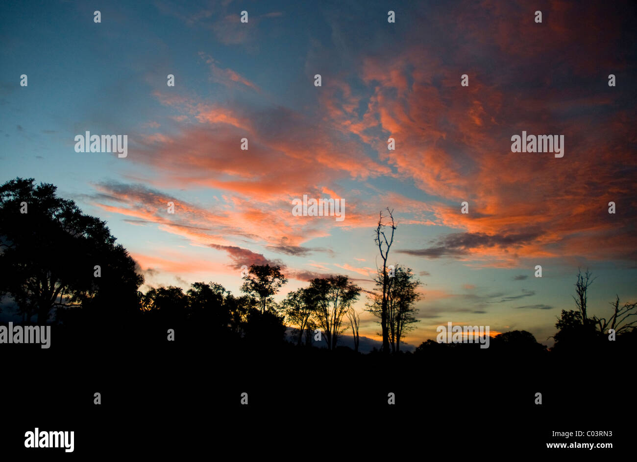 sunset in botswana, africa Stock Photo