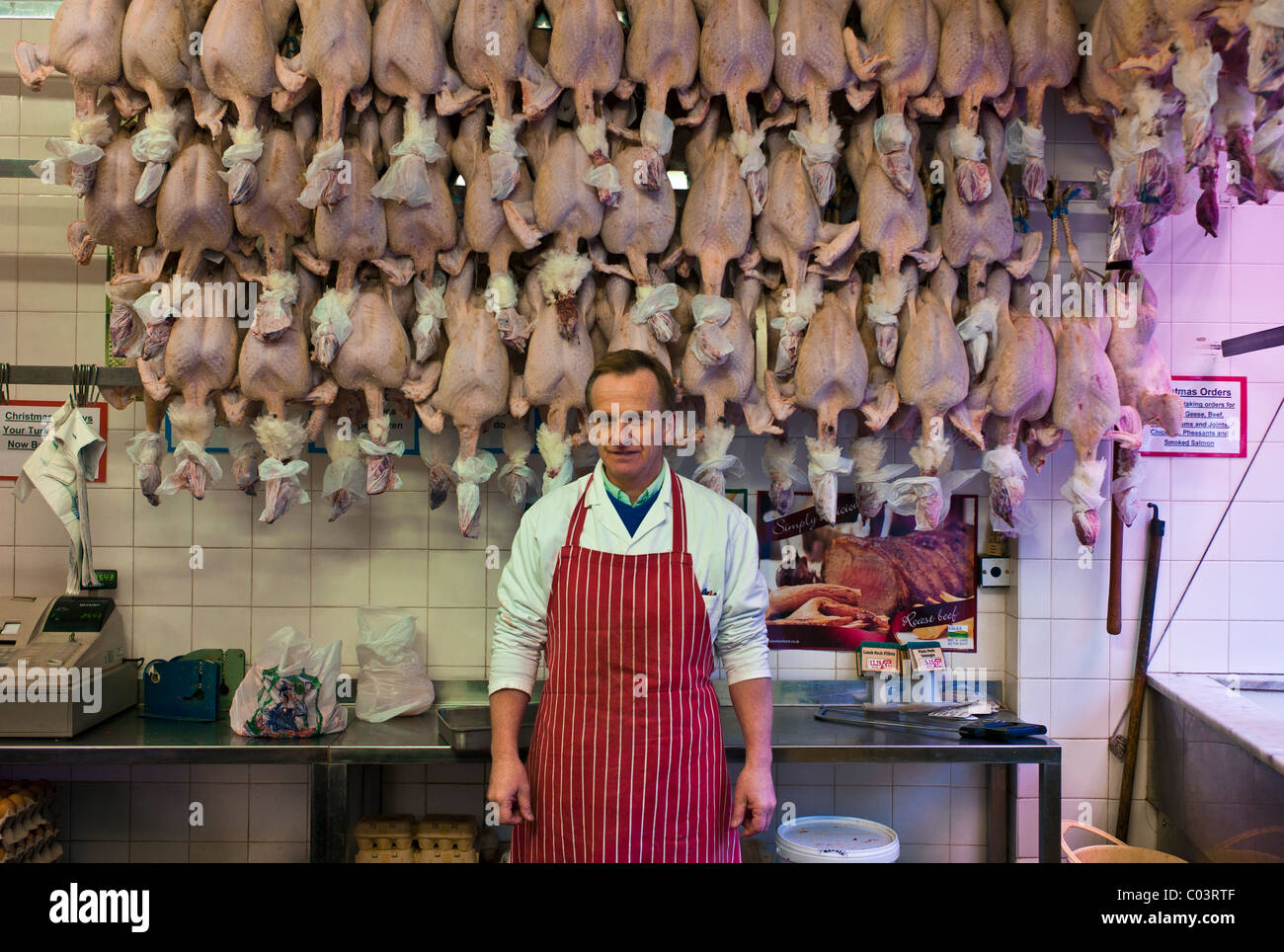 A butcher posing in front of  3 dozen plucked turkeys Stock Photo