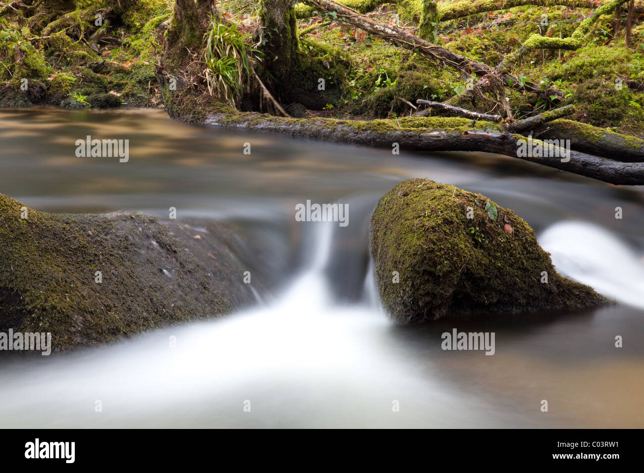 A landscape view of Golitha Falls in Bodmin Moor Stock Photo
