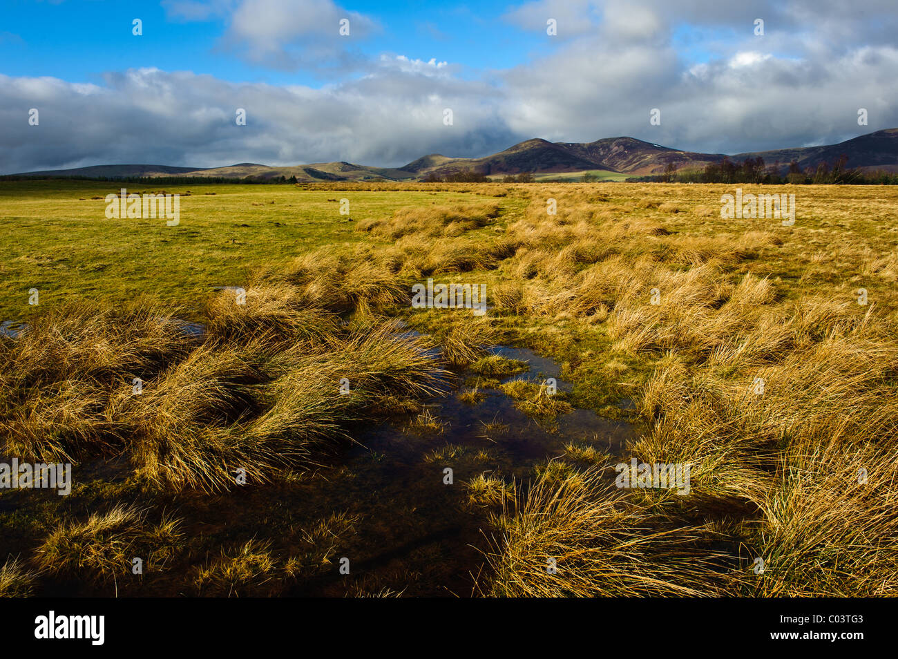 Pentland Hills near Penicuik , Midlothian , Scotland Stock Photo