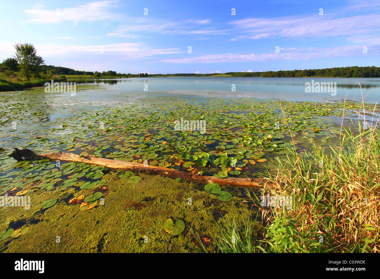 Shabbona lake state park hires stock photography and images Alamy
