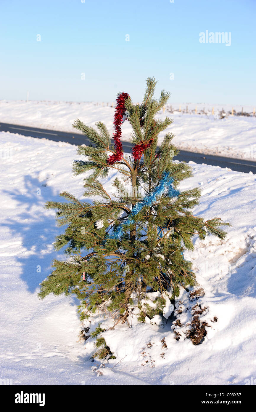 CHRISTMAS TREE TINSEL A169 PICKERING WHITBY ROAD NORTH YORKSHIRE