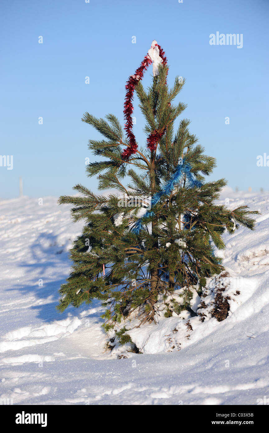 CHRISTMAS TREE TINSEL A169 PICKERING WHITBY ROAD NORTH YORKSHIRE
