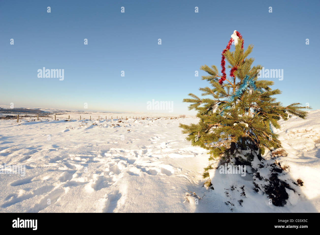 CHRISTMAS TREE TINSEL A169 PICKERING WHITBY ROAD NORTH YORKSHIRE
