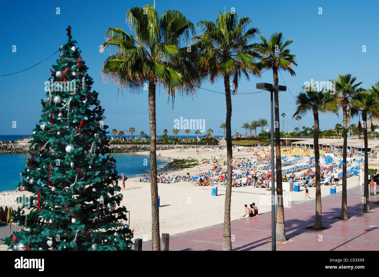 christmas tree on playa de amadores beach near puerto rico gran canaria canary islands - Christmas In Puerto Rico christmas tree on playa de amadores beach near puerto rico gran canaria canary islands - Christmas In Puerto Rico