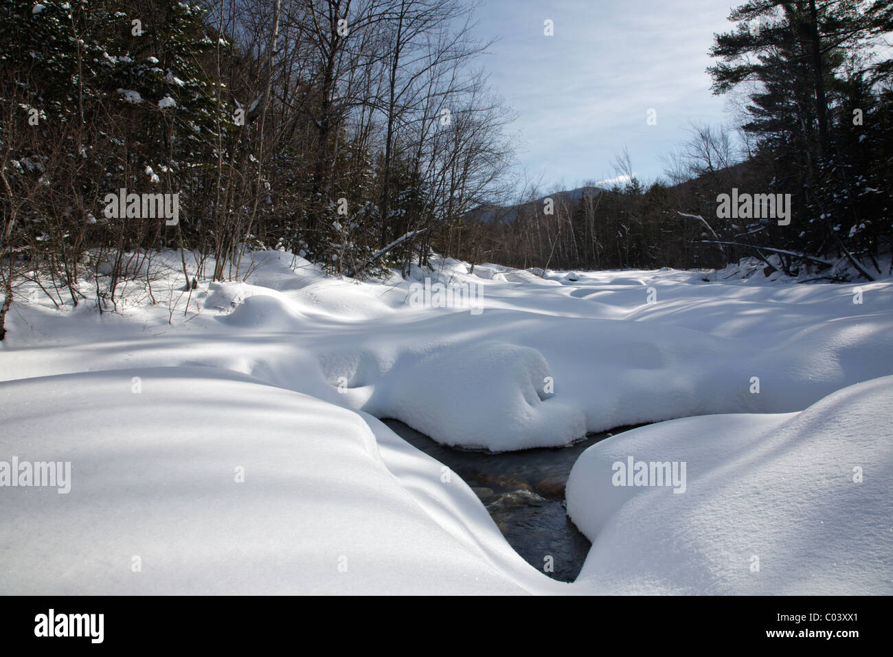 East Branch of the Pemigewasset River from the footbridge along the