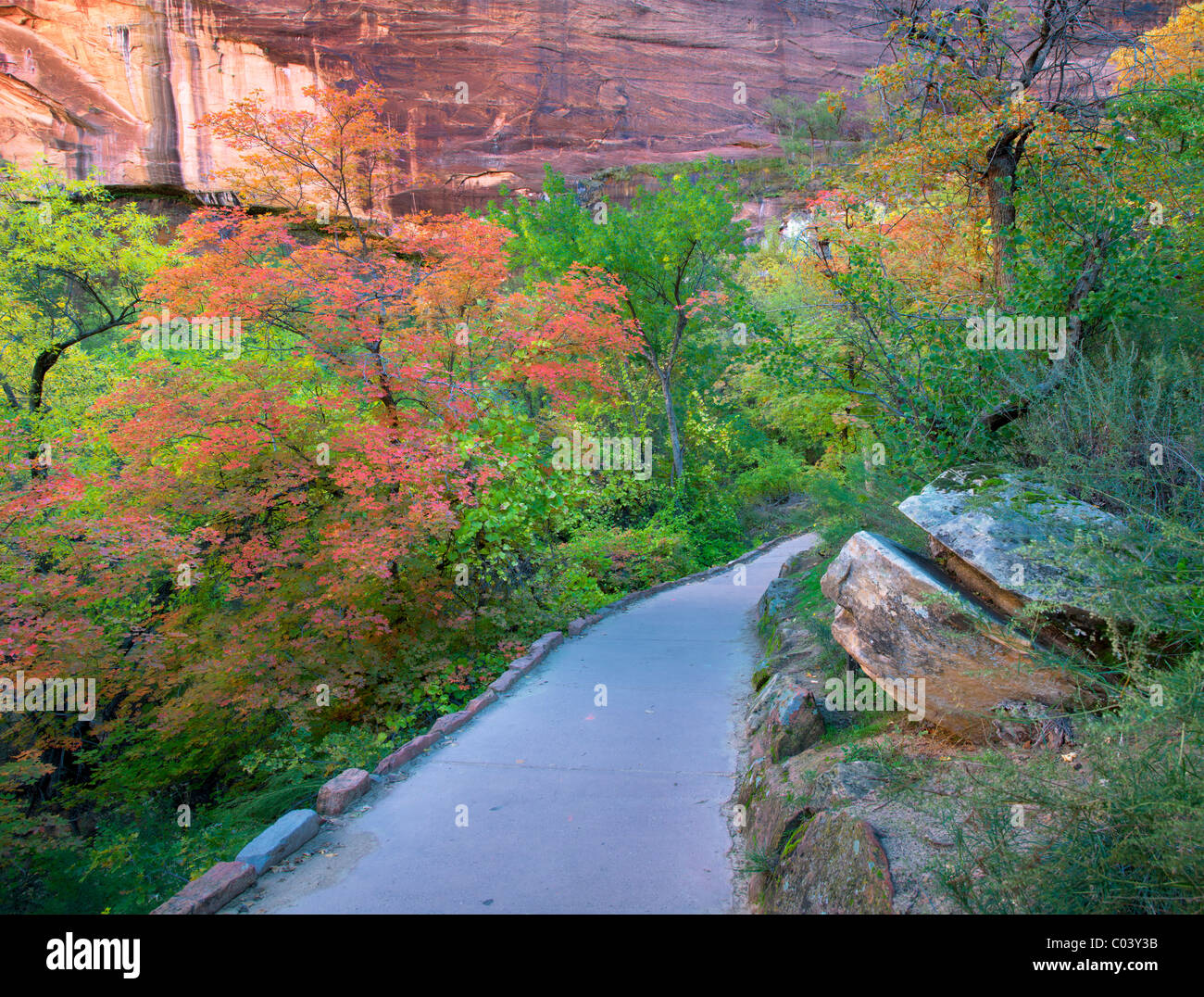 Path with fall color. Zion National Park, Utah Stock Photo