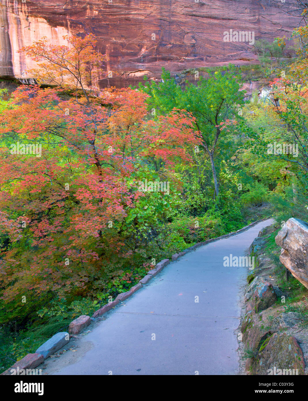 Path with fall color. Zion National Park, Utah Stock Photo Alamy