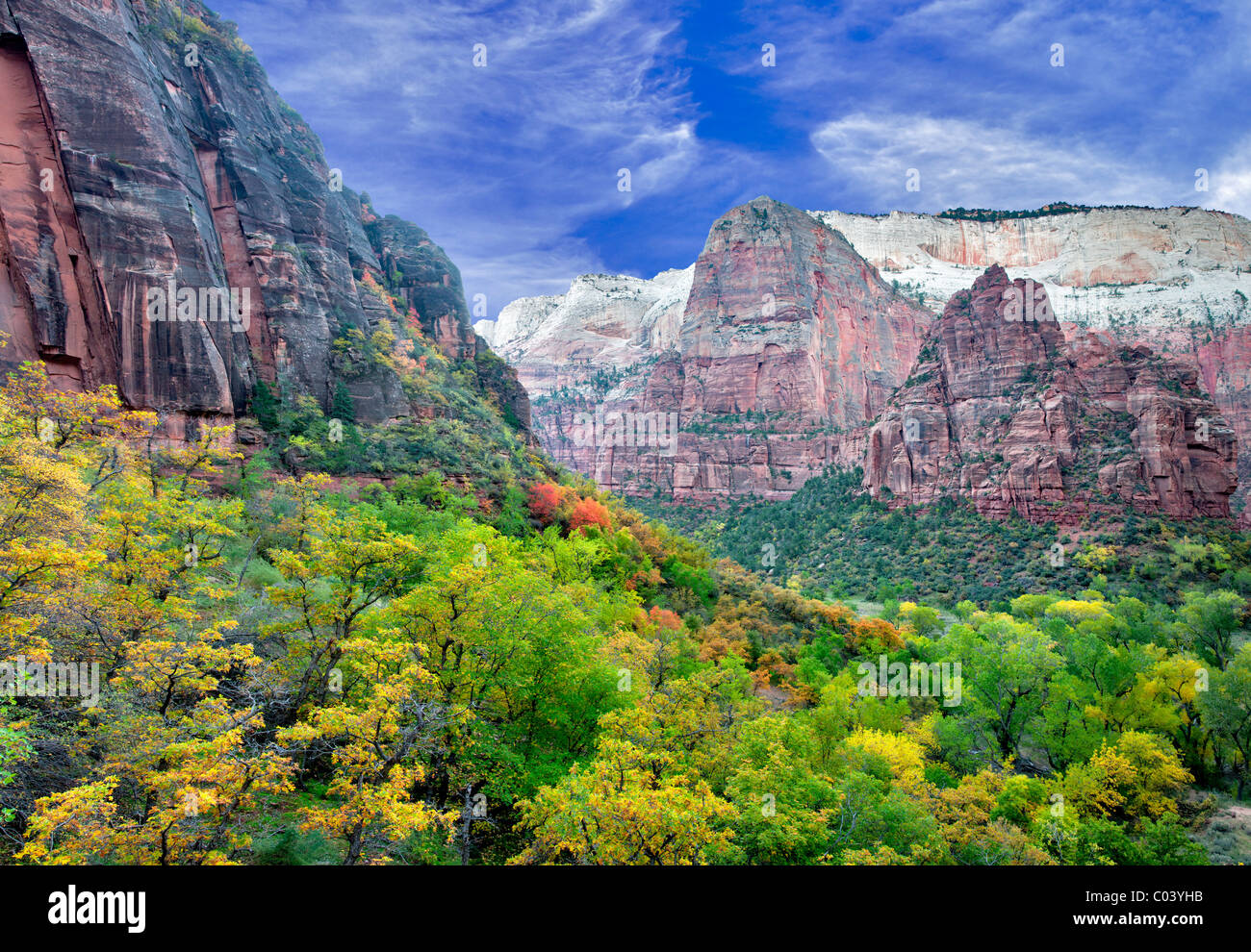 View of valley in Zion National Park with fall colors. Utah Stock Photo