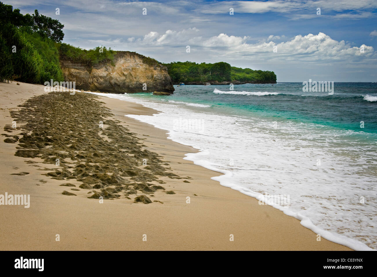 Mushroom Bay is a secluded, romantic tropical beach on the island of