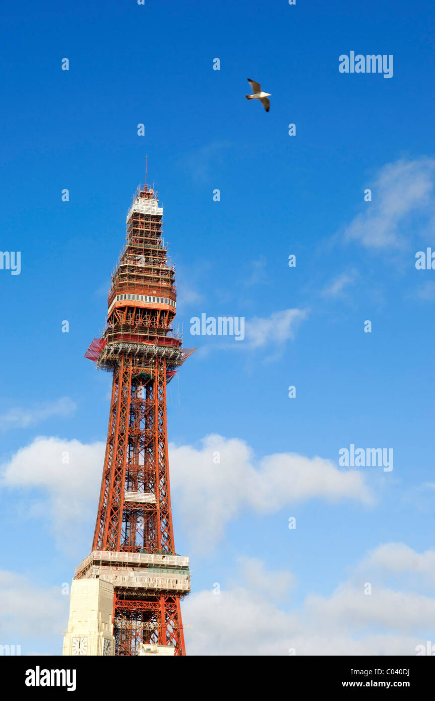 Maintenance working being carried out on Blackpool tower Stock Photo