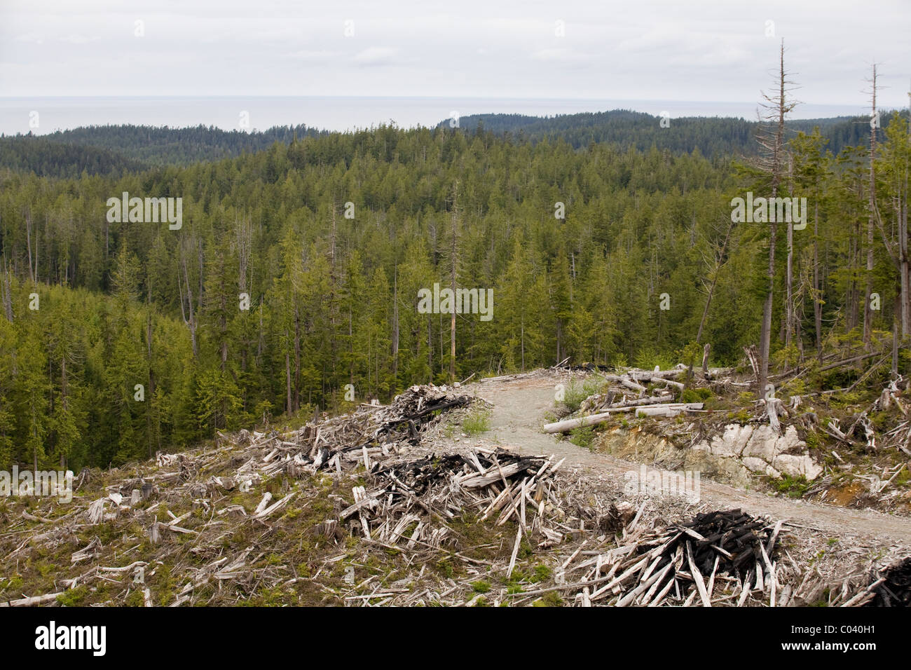 Logging road hires stock photography and images Alamy