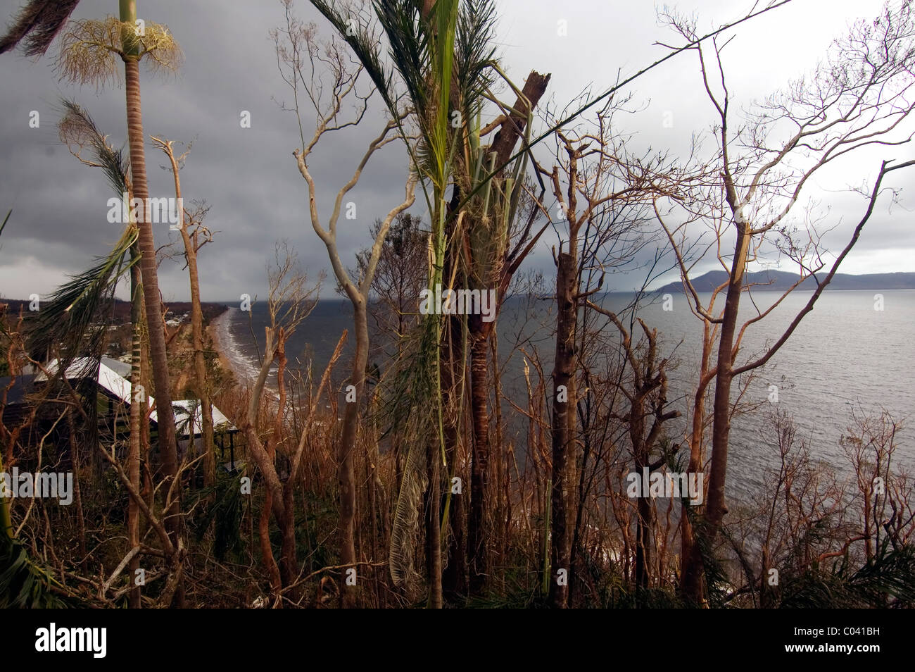 South Mission Beach immediately after a direct hit by Cyclone Yasi, 4