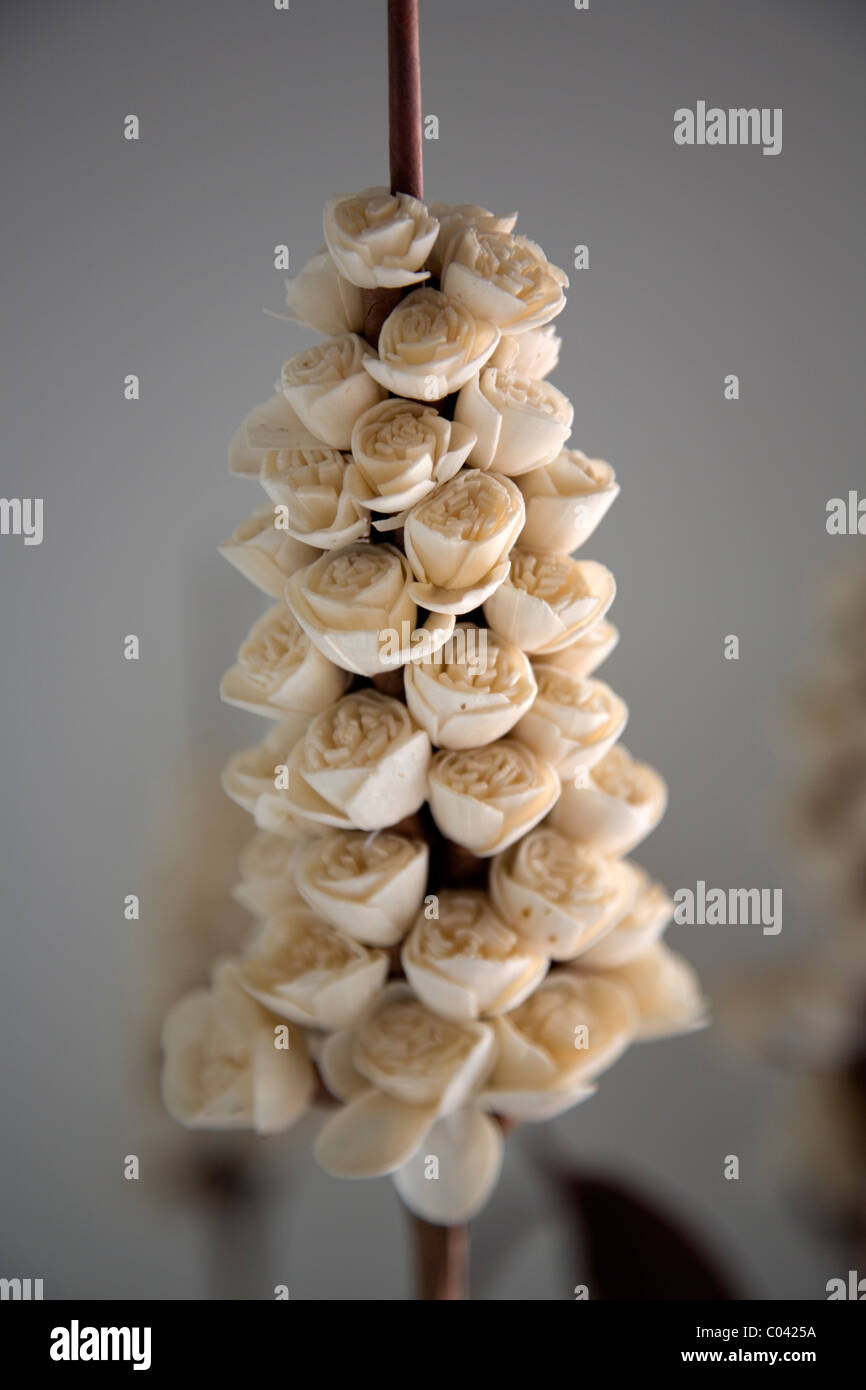 Scented light weight paper/ wooden flower stems Stock Photo Alamy