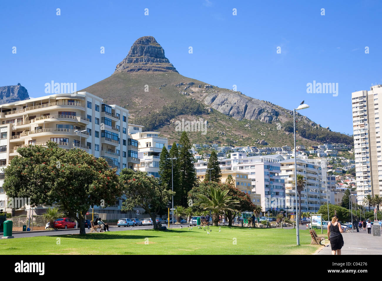 Lions Head amidst Sea Point Apartments Stock Photo Alamy