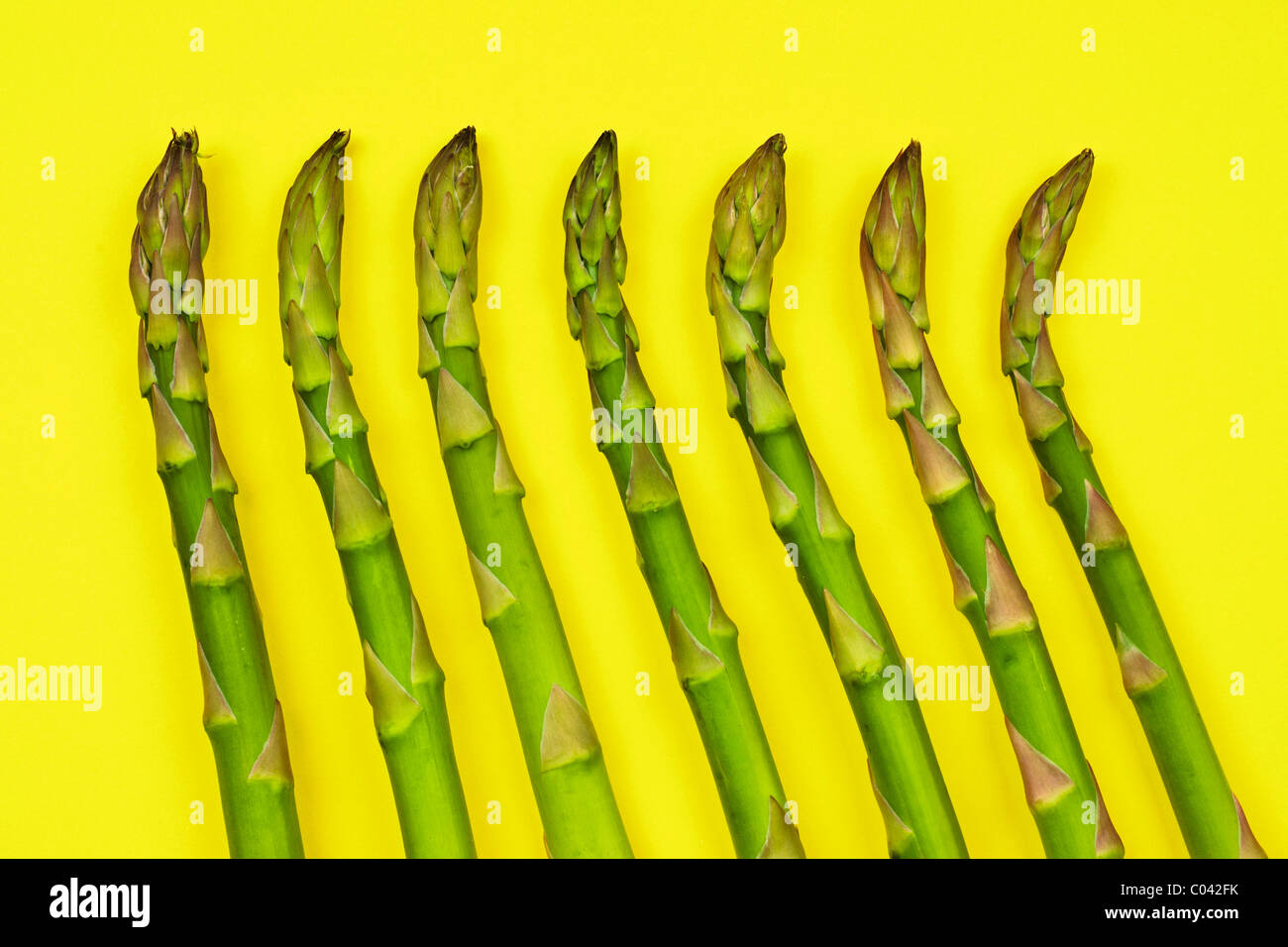 Fresh asparagus on yellow background - styled arrangement - very detailed high quality 24 megapixel uncropped image Stock Photo