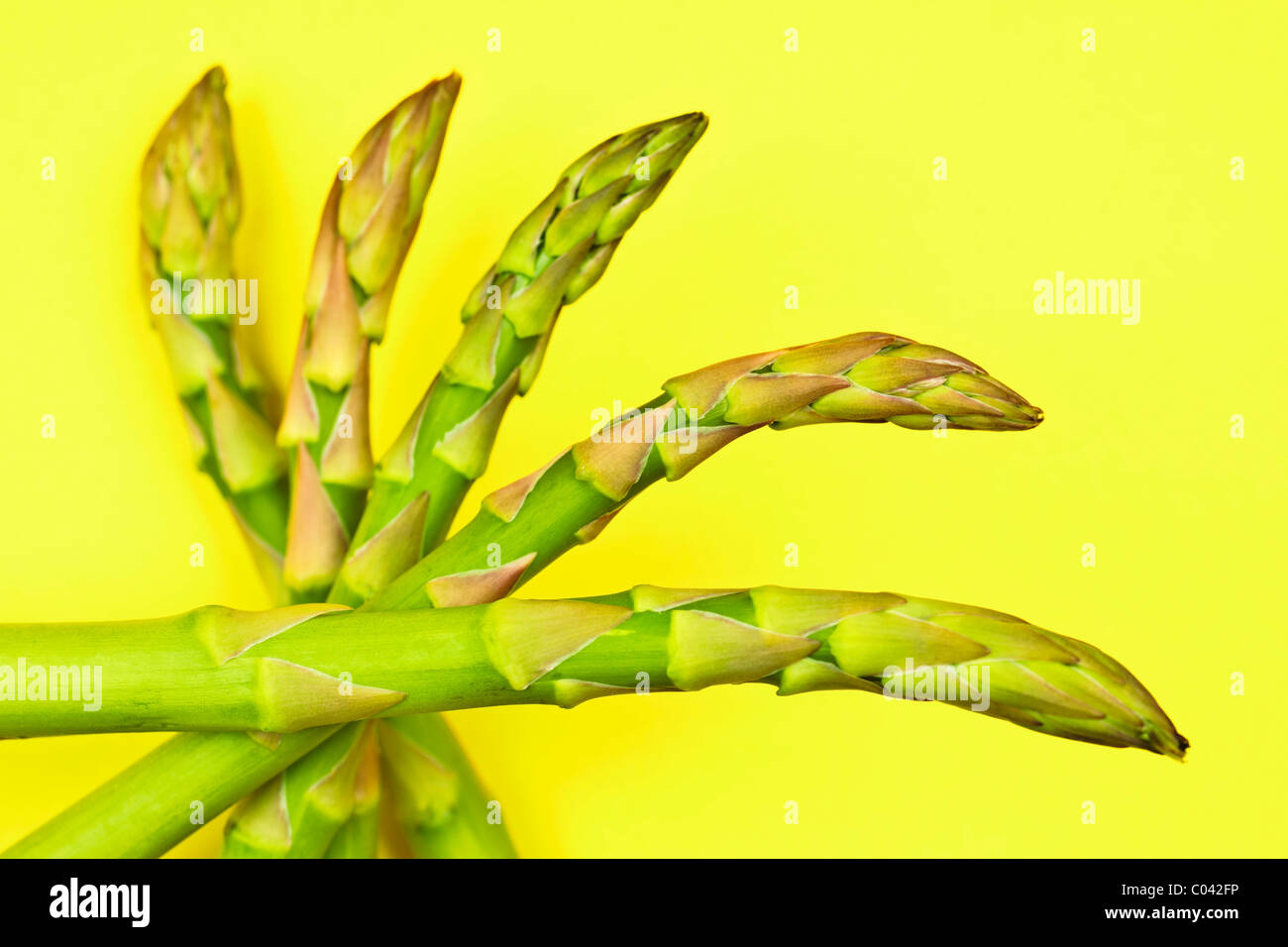 Fresh asparagus tips on yellow background styled arrangement very