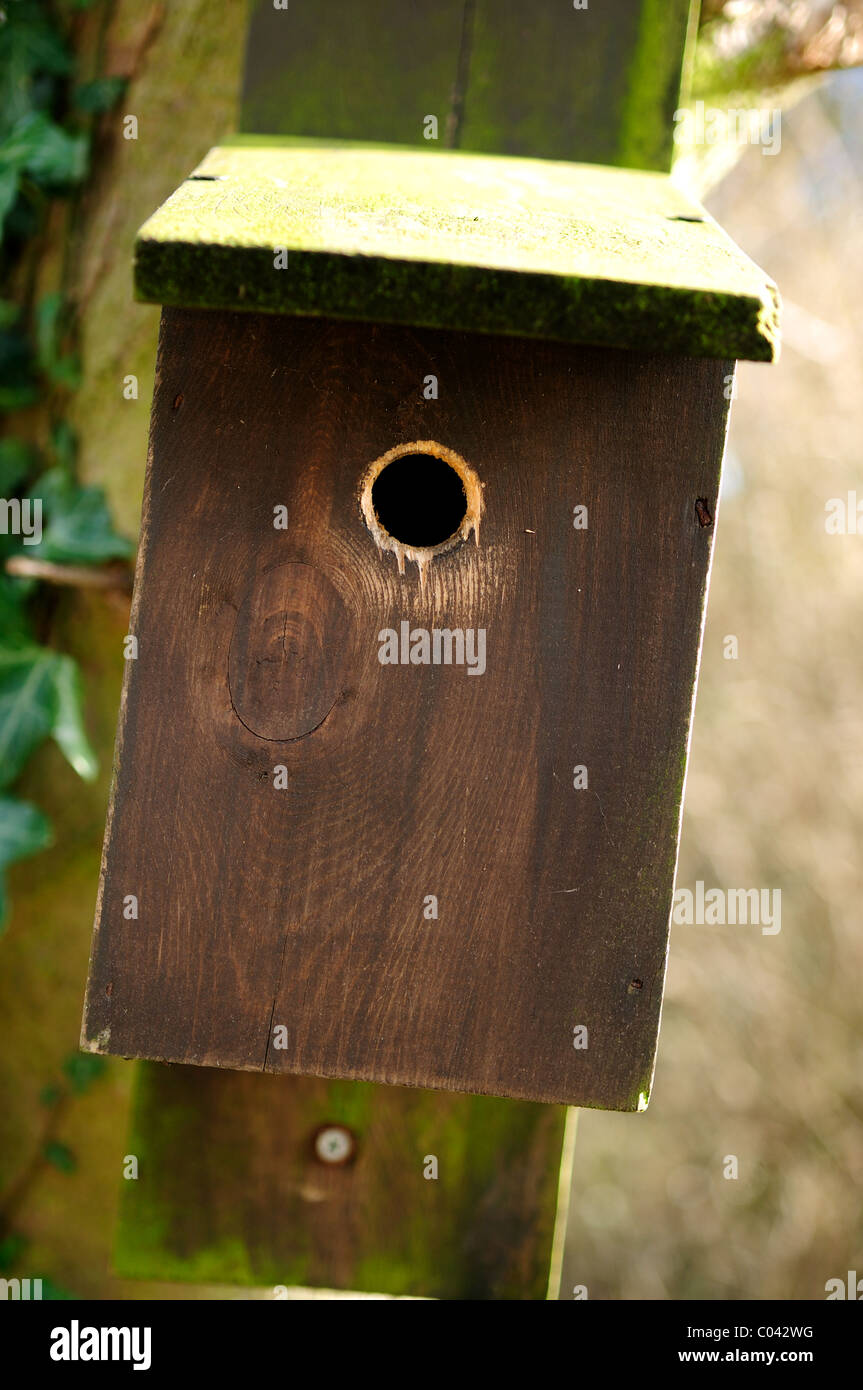 Bird Nesting Box Stock Photo Alamy