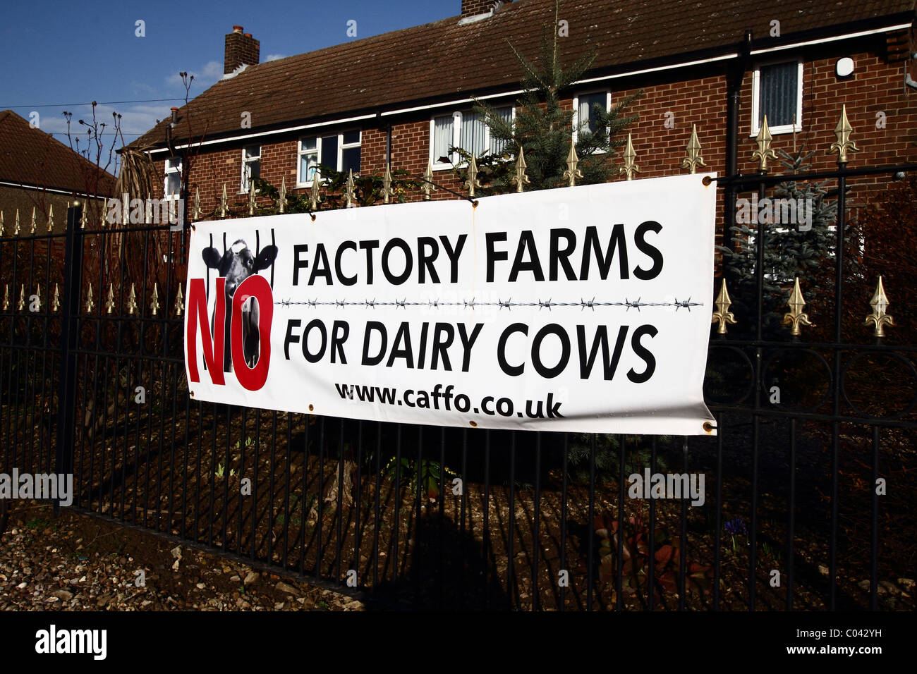 The proposed construction of the UK's largest dairy farm poses a giant