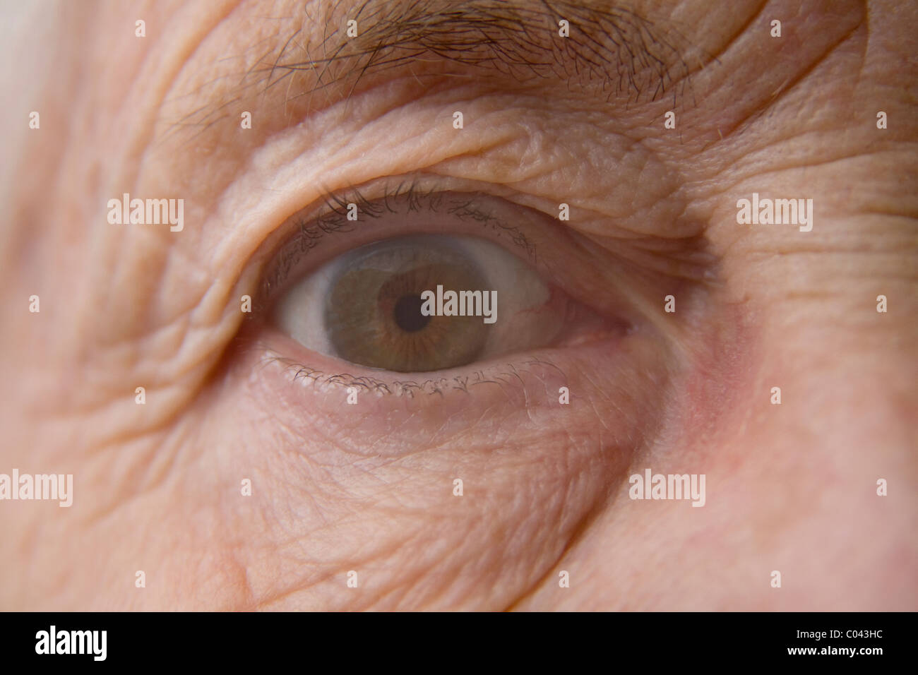 Close Up Brown Eye Of An Elderly Woman With Wrinkled Face Stock