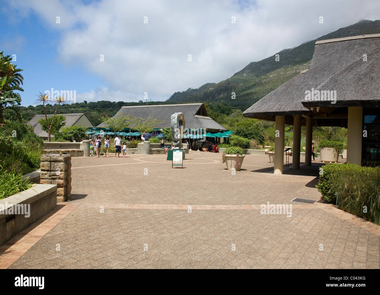 Kirstenbosch gardens in Cape Town Stock Photo