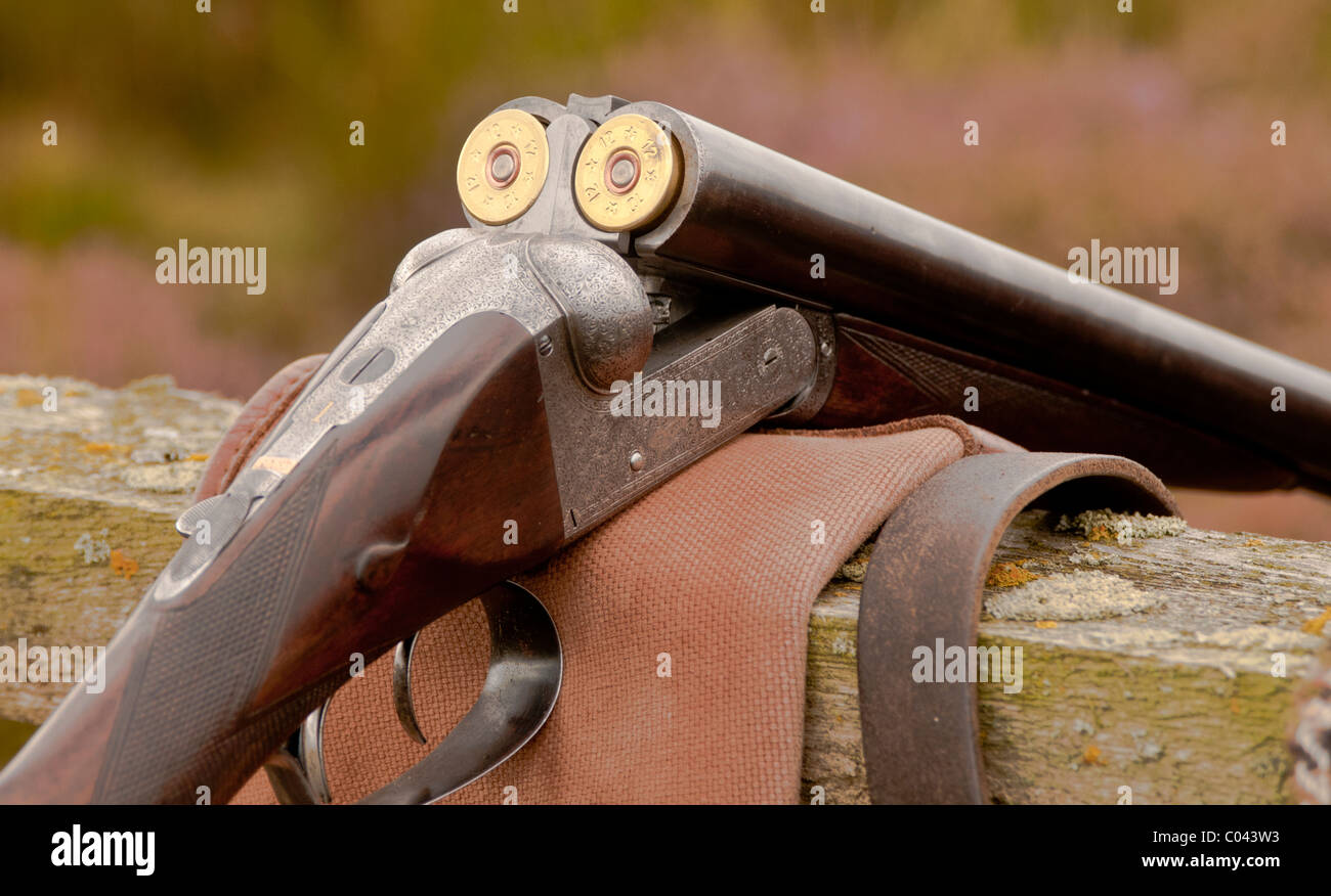 A twelve bore side by side shot gun open and showing cartridges, at